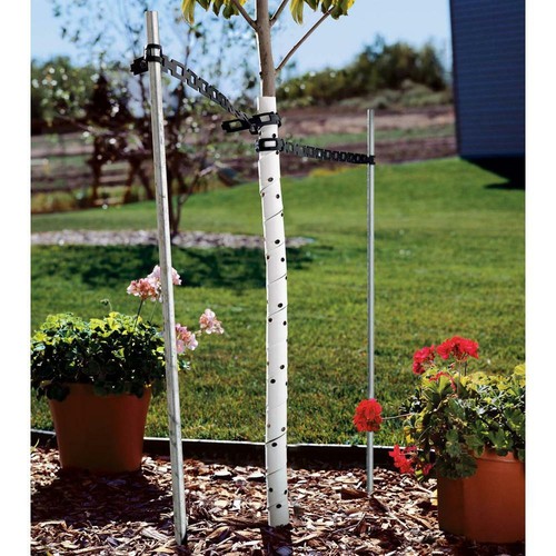 Scented spiral tree guard - scented,