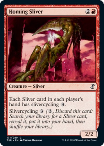 Homing sliver tsr 171 - nm,